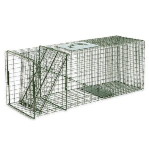 duke traps raccoon cage trap