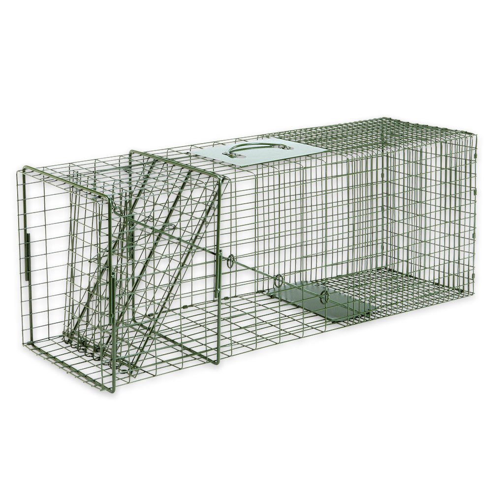 Duke Traps Raccoon Cage Trap