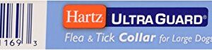 Hartz 2 In 1 Large Dog Collar