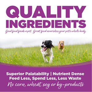 NutriSource Puppy Food, Made with Chicken and Rice, Large Breed, with Wholesome Grains, 30LB, Dry Dog Food