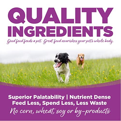 NutriSource Puppy Food, Made with Chicken and Rice, Large Breed, with Wholesome Grains, 30LB, Dry Dog Food