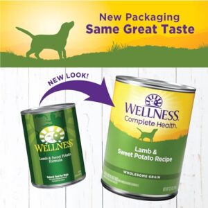 Wellness Complete Health Natural Wet Canned Dog Food, Lamb & Sweet Potato, 12.5-Ounce Can (Pack of 12)