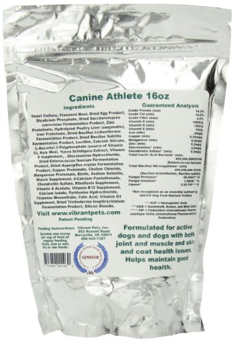 Vibrant Pets Canine Athlete | Complete Immune Booster, Dog Energy Supplement and Dog Skin Supplement for Health and Joint Support | All in One Nutrition for Active and Aged Dogs 16oz