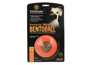 starmark everlasting treat bento ball tough dog chew toy medium