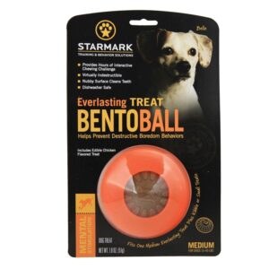 Starmark Everlasting Treat Bento Ball Tough Dog Chew Toy Medium