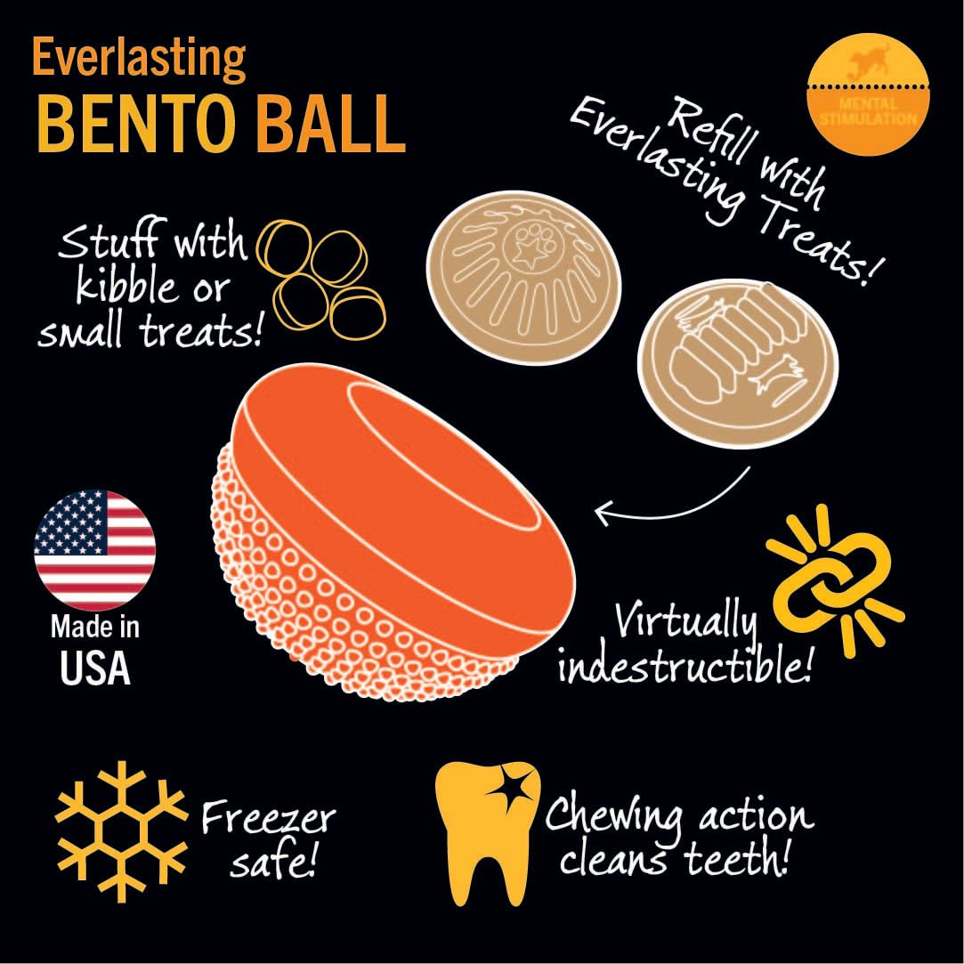 Starmark Everlasting Treat Bento Ball Tough Dog Chew Toy Medium