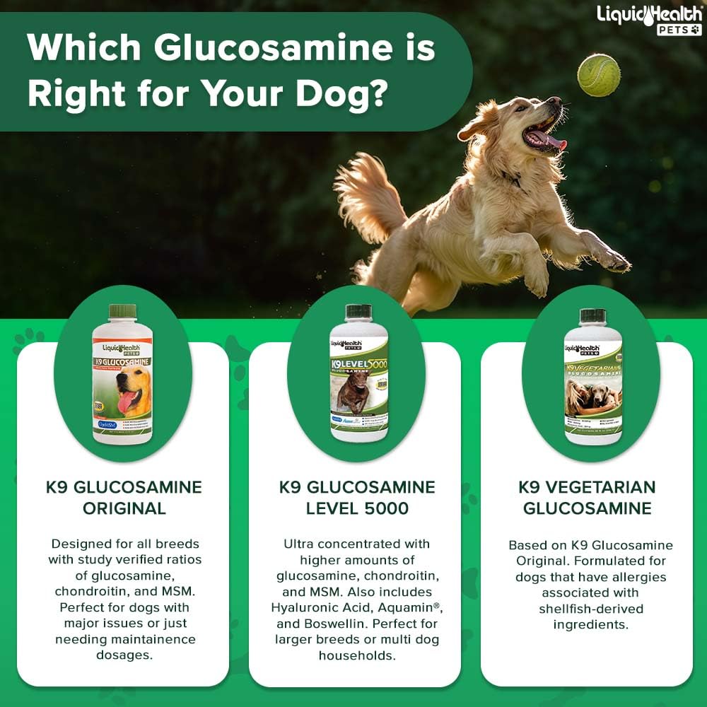 LIQUIDHEALTH 32 Oz K9 Vegetarian Liquid Glucosamine for All Dogs Canines - Chondroitin, MSM, Omega 3, Anti Oxidants Hyaluronic Acid – Joint Health, Dog Vitamins Hip Joint Juice, Joint Oil