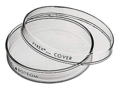 Pyrex 3160-100 Brand 3160 petri dish; 100 x 10 mm, pack of 12