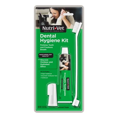 Nutri-Vet Dental Hygiene Kit for Dogs | Finger Toothbrush and Enzymatic Toothpaste | Chicken Flavor |2.5 ounces