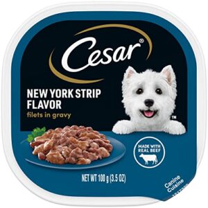 cesar adult soft wet dog food filets in gravy, new york strip flavor, 3.5 oz. tray