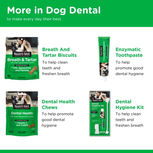 Nutri-Vet Dental Hygiene Kit for Dogs | Finger Toothbrush and Enzymatic Toothpaste | Chicken Flavor |2.5 ounces