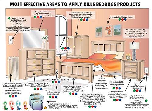 JT Eaton Kills Bedbugs 204-O1G Bed Bug Killer Ultra, Non-Staining Oil Based Insect Spray for Indoors (1 gal)