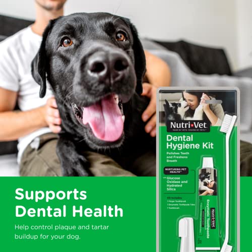 Nutri-Vet Dental Hygiene Kit for Dogs | Finger Toothbrush and Enzymatic Toothpaste | Chicken Flavor |2.5 ounces