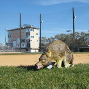 Bird-X 3D Coyote Decoy, Lifelike Predator Replica, Coyote Decoy with Moving Tail and Realistic Markings, Easy to Install, Covers up to 1 Acre of Land, 32" x 8" x 30"