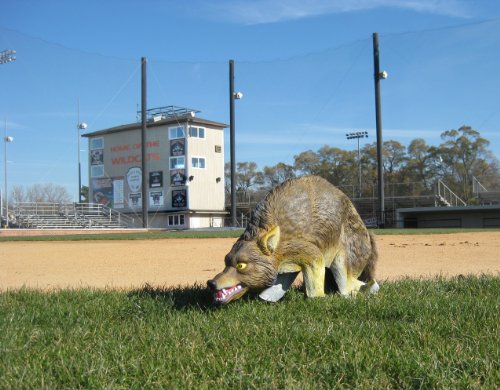 Bird-X 3D Coyote Decoy, Lifelike Predator Replica, Coyote Decoy with Moving Tail and Realistic Markings, Easy to Install, Covers up to 1 Acre of Land, 32" x 8" x 30"