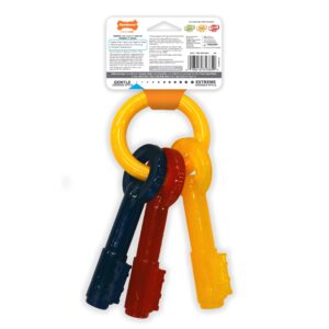 Nylabone Puppy Chew Keys Toy - Puppy Chew Toys for Teething - Puppy Supplies - Bacon Flavor, Medium/Wolf (1 Count)