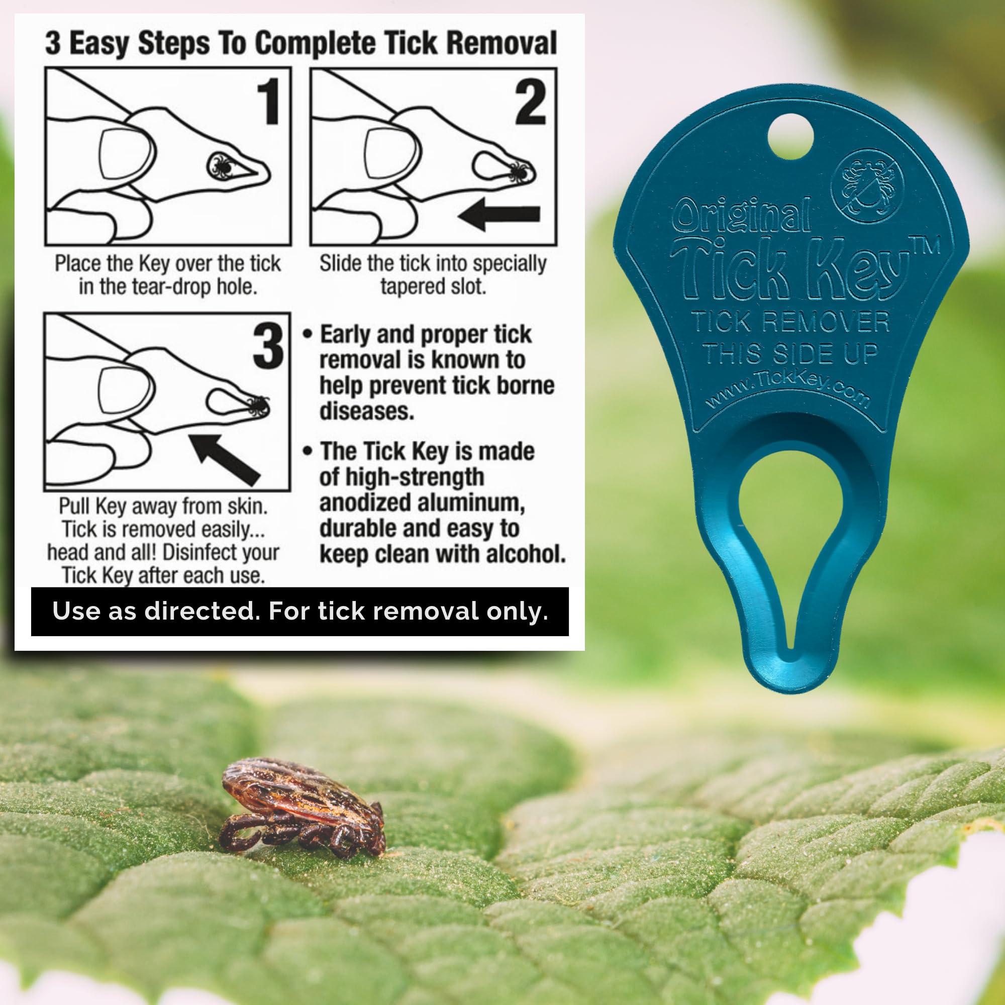 Original Tick Key for Tick Removal 3 Pack (Multi Color)