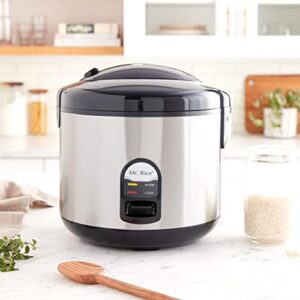 10 Cups Rice Cooker with Stainless Body