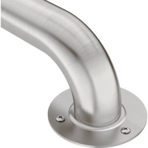 moen lr7518 bathroom safety 18-inch stainless steel bathroom grab bar with exposed screws, stainless