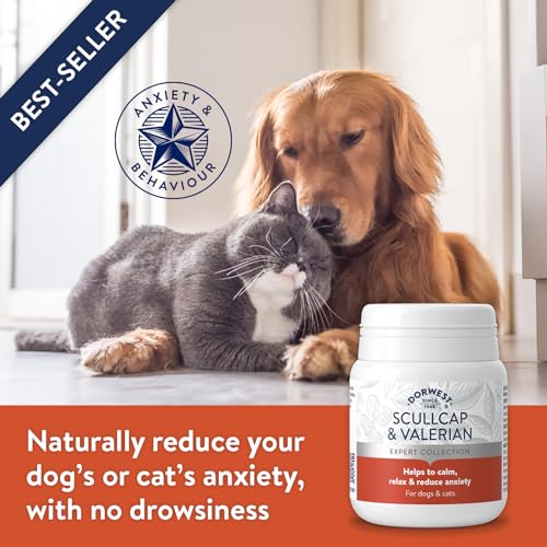 Dorwest Herbs Scullcap and Valerian Tablets for Dogs and Cats 100 Tablets