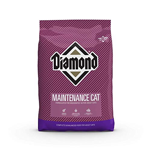 Diamond Legacy Maintenance Formula Chicken Flavor Dry Adult Cat Food, 40-Pound Bag (TV205854)