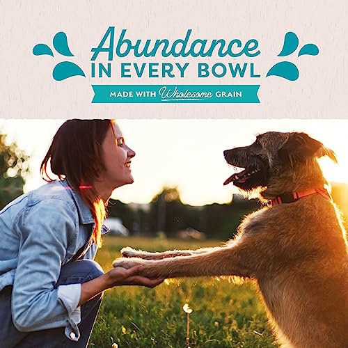 Natural Balance Original Ultra Adult Wet Dog Food, Chicken Formula with Brown Rice, Carrots & Potatoes, 13 Ounce Can (Pack of 12)