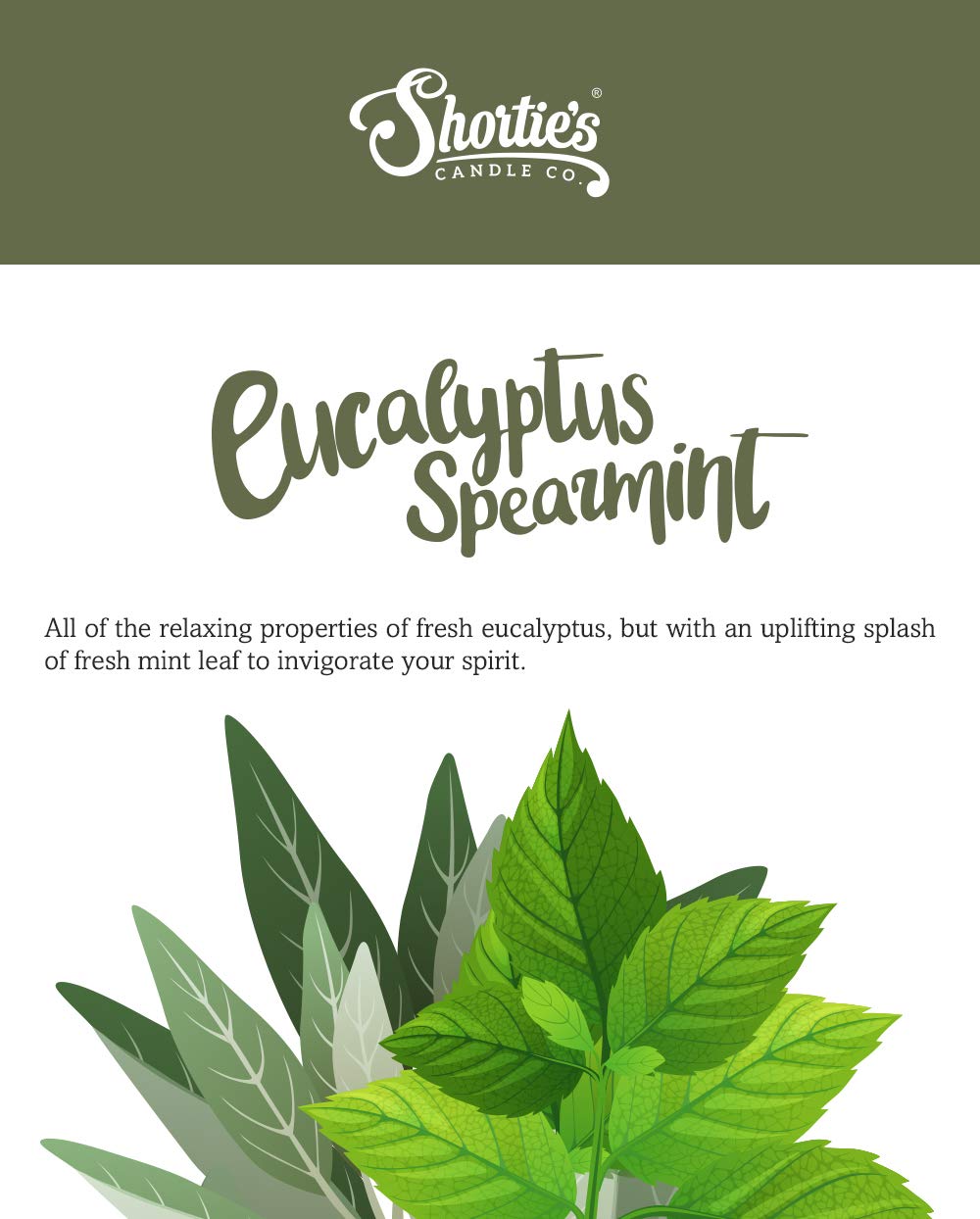 Shortie's Candle Company Eucalyptus Spearmint Wax Melts - Formula 117-1 Highly Scented 3 Oz. Bar - Made with Essential & Natural Oils - Fresh & Clean Air Freshener Cubes Collection