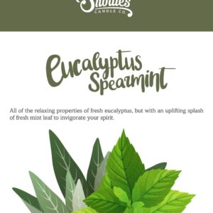 Shortie's Candle Company Eucalyptus Spearmint Wax Melts - Formula 117-1 Highly Scented 3 Oz. Bar - Made with Essential & Natural Oils - Fresh & Clean Air Freshener Cubes Collection