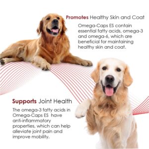 Omega-Caps Extra Strength for Large Breeds-Vet Formulated for Healthy Radiant Skin & Coat While Reducing Excess Shedding. Omega 3 for Immune System Support, Easy to Dose, 180 Soft Gel Capsules