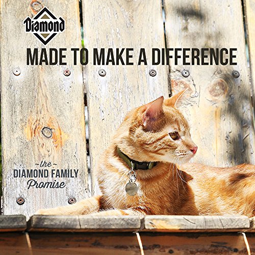 Diamond Legacy Maintenance Formula Chicken Flavor Dry Adult Cat Food, 40-Pound Bag (TV205854)