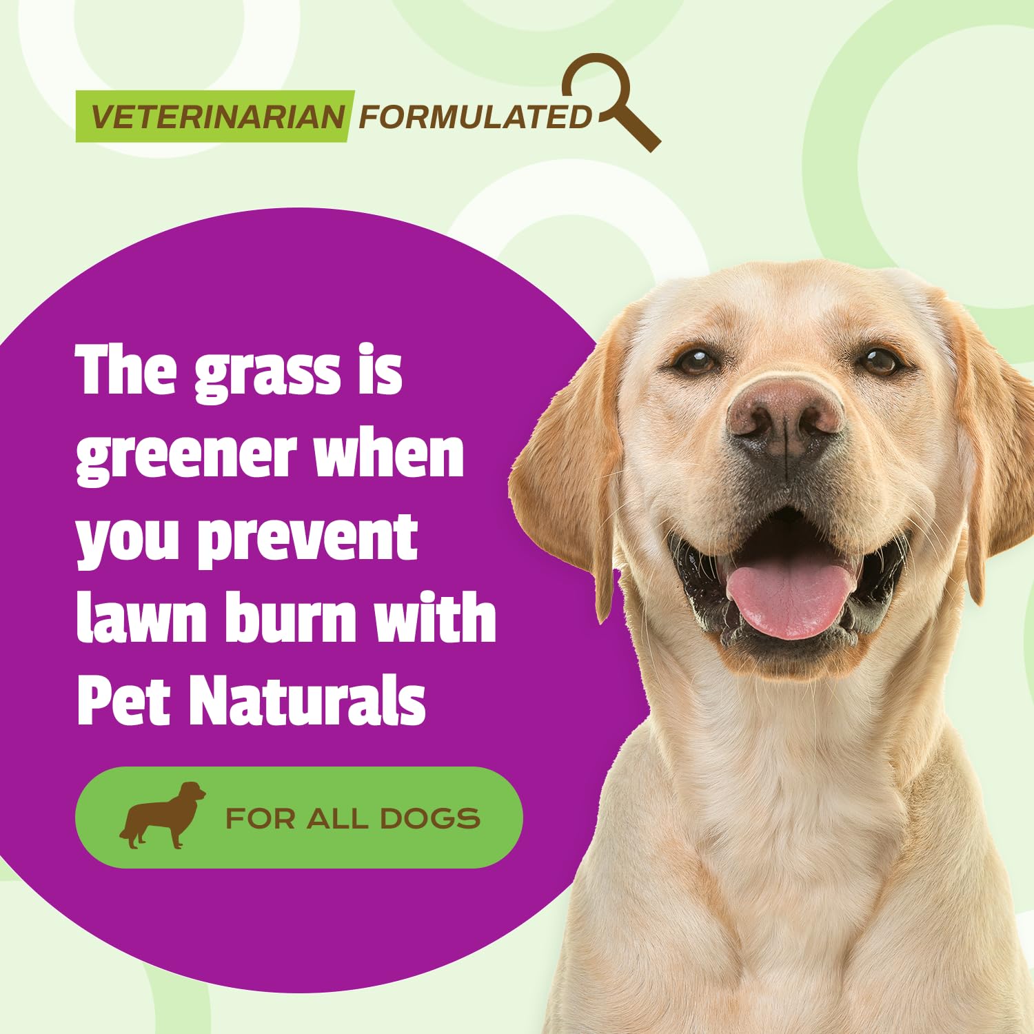 Pet Naturals Lawn Aid Dog Urine Neutralizer for Lawn - 60 Chicken-Flavored Chews - Healthy Dog Treats for PH Balance in Urine Maintain Green Grass and Support Bladder & Urinary Tract Health​