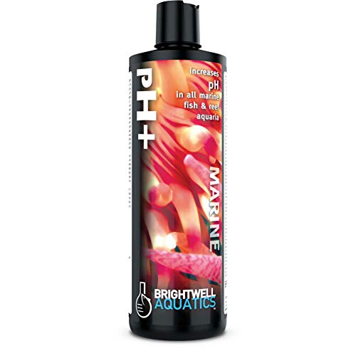 Brightwell Aquatics pH+ - pH Increaser for All Marine and Freshwater Aquariums, 250-ml (PHP250)