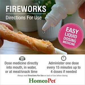 HomeoPet Fireworks, Safe and Natural Loud-Noise Anxiety Relief for Dogs, Cats, and Other Small Animals, Calming Care, 15 Milliliters