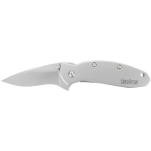 Kershaw Scallion Pocket Knife (1620FL); 2.4 420HC Stainless Steel Blade and 410 Steel Handle, Featuring SpeedSafe Assisted Opening, Flipper, Lanyard Hole, Secure Frame Lock and Tip Lock; 2.9 OZ.,Small