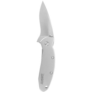 Kershaw Scallion Pocket Knife (1620FL); 2.4 420HC Stainless Steel Blade and 410 Steel Handle, Featuring SpeedSafe Assisted Opening, Flipper, Lanyard Hole, Secure Frame Lock and Tip Lock; 2.9 OZ.,Small