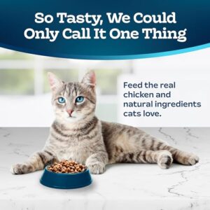 Blue Buffalo Tastefuls Mature Dry Cat Food for Adult Cats 7+, Made in the USA with Natural Ingredients, Chicken & Brown Rice Recipe, 3-lb. Bag