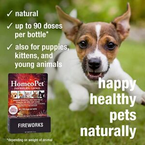 HomeoPet Fireworks, Safe and Natural Loud-Noise Anxiety Relief for Dogs, Cats, and Other Small Animals, Calming Care, 15 Milliliters