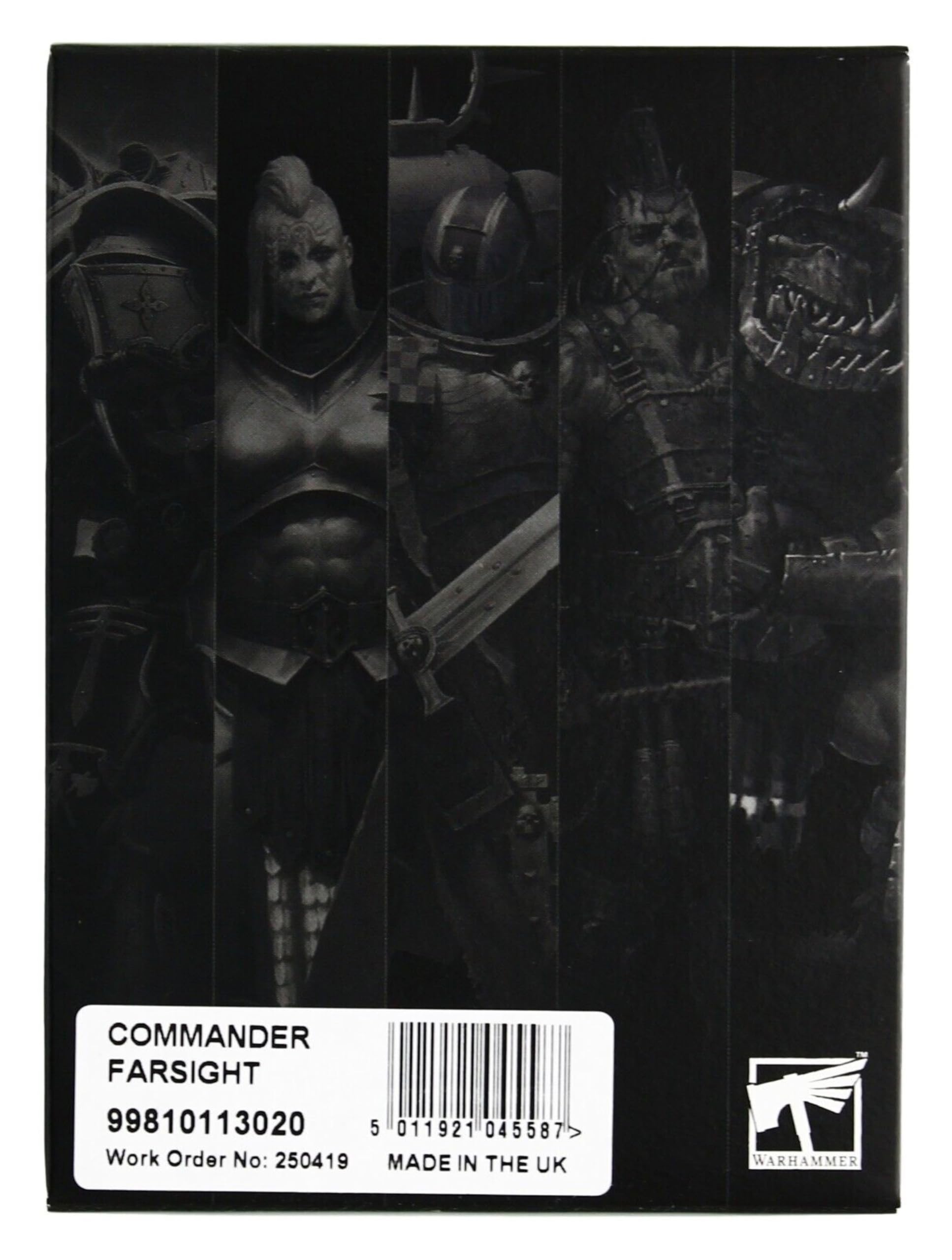 Games Workshop 99120212003 Dark Elf-Black Ark Corsairs 2008 Warhammer Action Figure