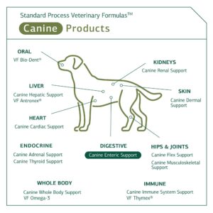 Standard Process Canine Enteric Support - Digestive System Support for Dogs - Nutritional Dog Supplement for Gut Health Support - Canine Supplement Formula to Aid Healthy Digestion - 110 g