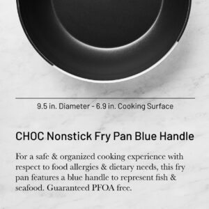 de Buyer CHOC Nonstick Fry Pan - 9.5” - Blue Handle for Fish - 5-Layer PTFE Coating - Warp & Scratch Resistant - Made in France