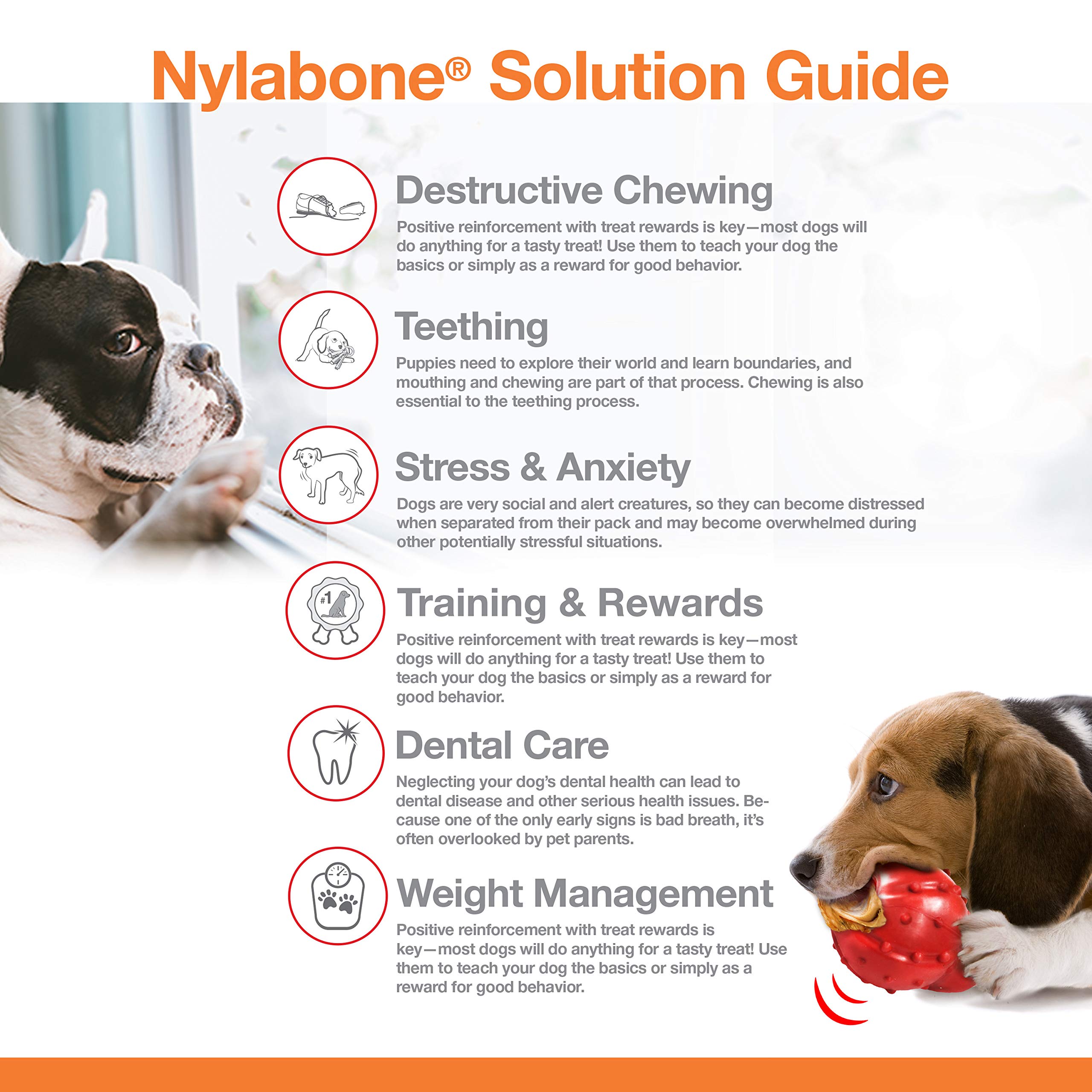 Nylabone Durachew Chicken Blister Card Wolf