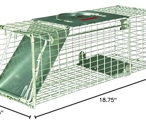 Little Giant® Single Door Live Trap | Racoon Trap | Live Animal Trap | Catches Without Injury | Galvanized Steel Mesh | 18.75 x 6.75 x 6.5 in