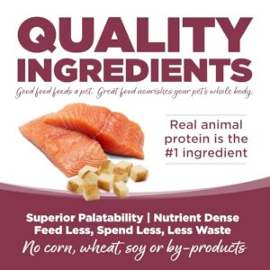 Salmon And Potato Dry Dog Food Size: 25-Lb Bag