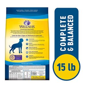 Wellness Complete Health Large Breed Dry Dog Food with Grains, Natural Ingredients, Made in USA with Real Meat (Adult, Chicken & Rice, 15-Pound Bag)