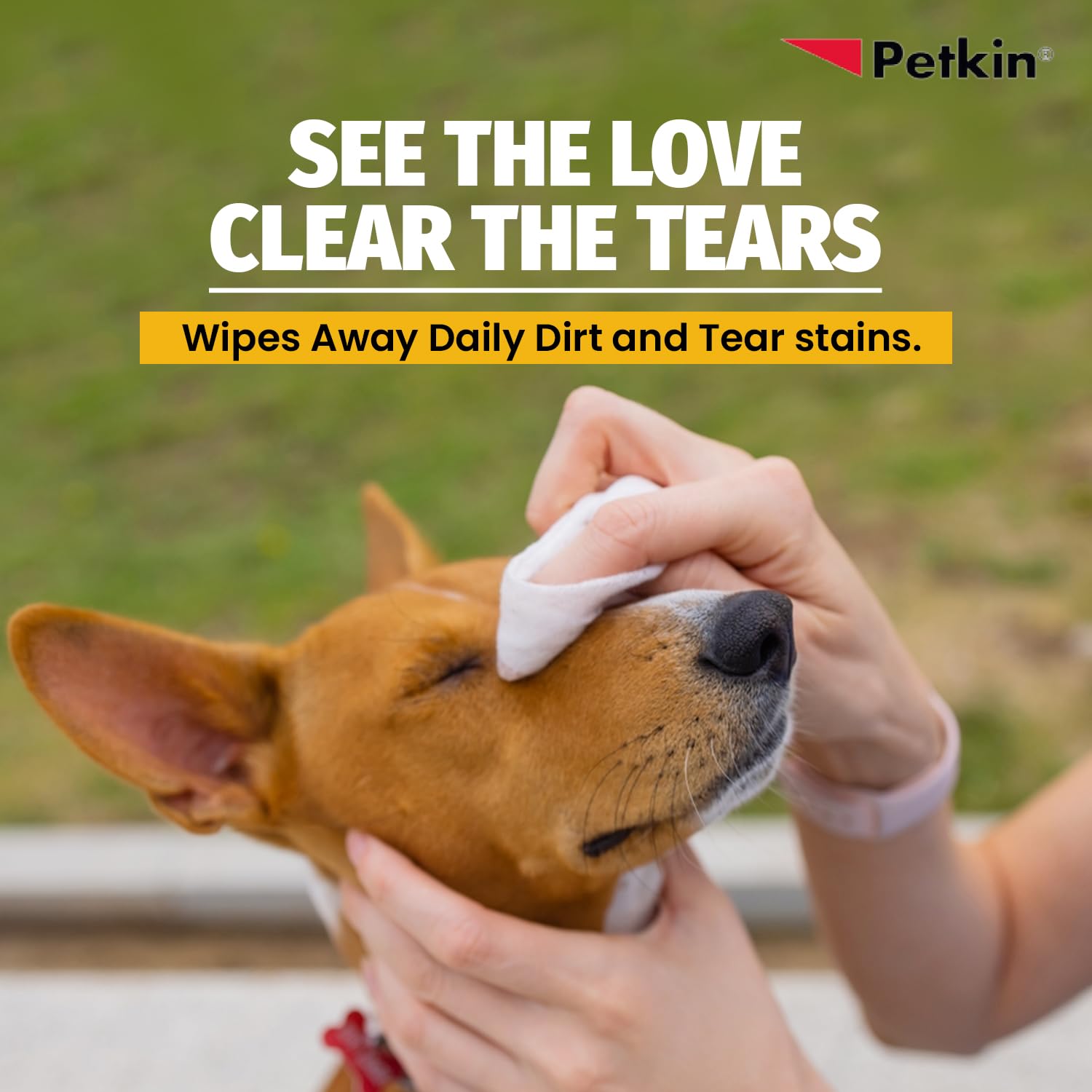 Petkin Jumbo Pet Eye Wipes, 80 Extra Moist Wipes - Gentle Eye Cleansing Wipes Remove Dirt, Discharge, & Tear Stains - Safe, Convenient, & Easy to Use Pet Wipes for Dogs, Cats, Puppies & Kittens