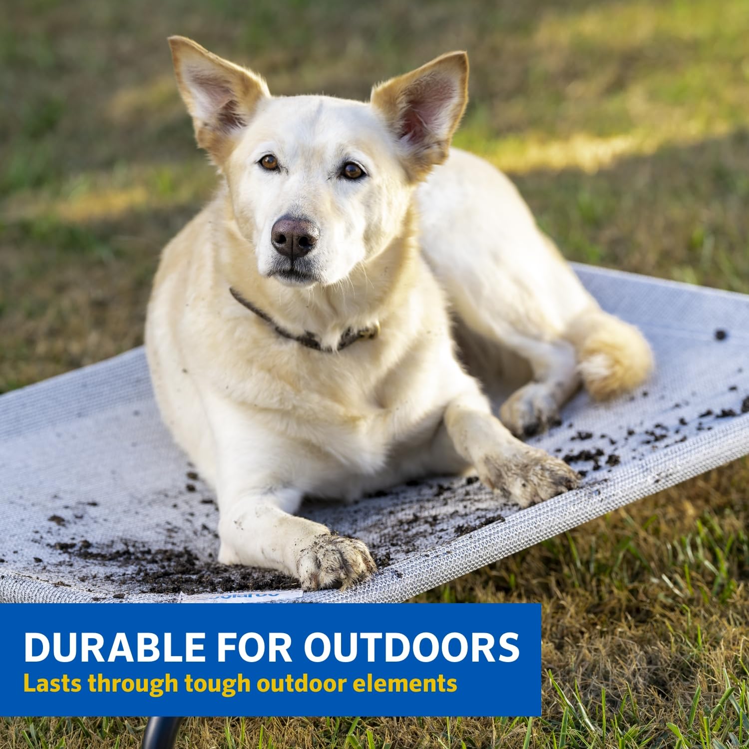 COOLAROO The Original Cooling Elevated Dog Bed, Indoor and Outdoor, Small, Grey