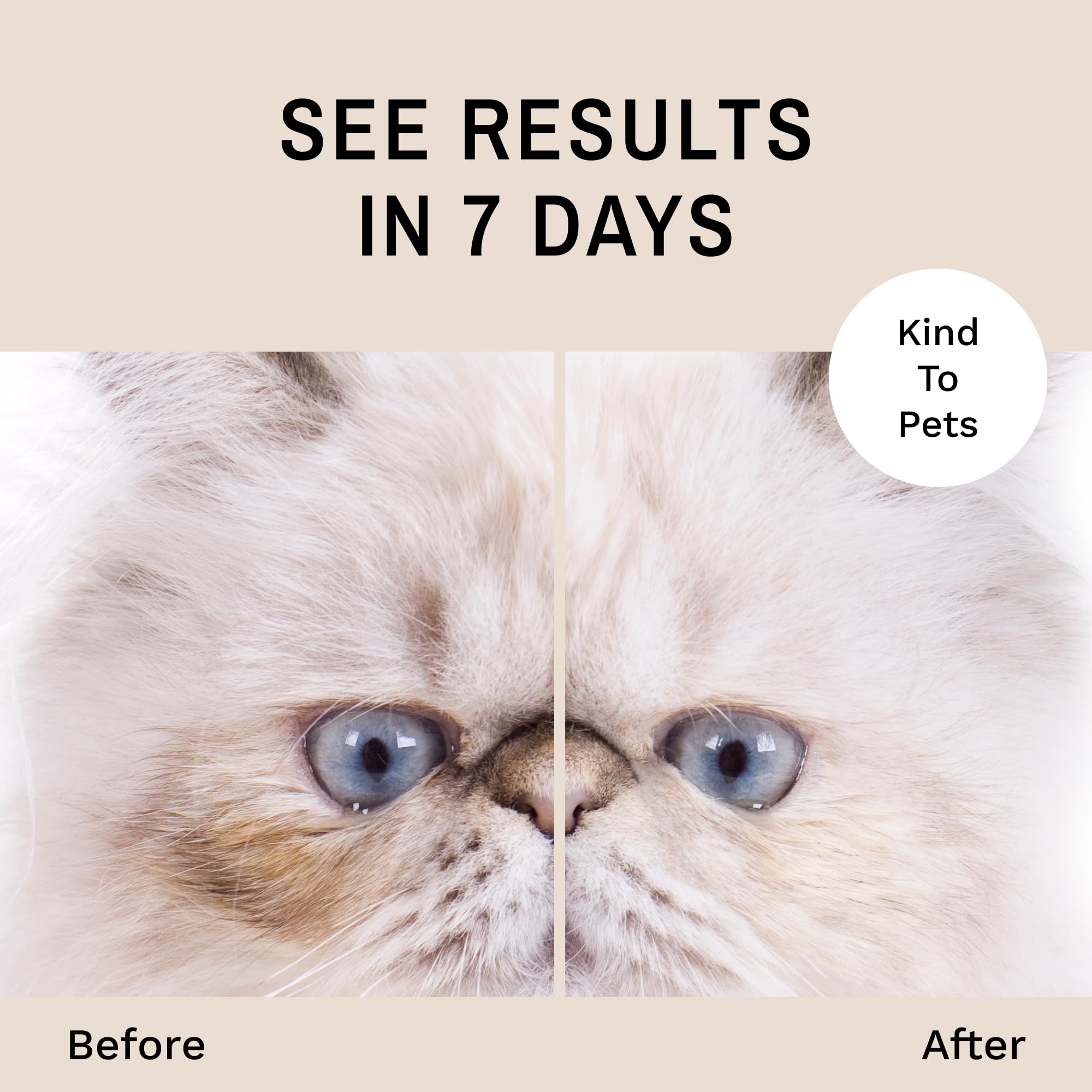 Eye Envy Tear Stain Remover Solution for Cats|100% Natural and Safe|Recommended by Breeders/vets/cat fanciers/Groomers|Contains colloidal Silver|Remove Stains from Fur on Persians and Exotics (8oz.)