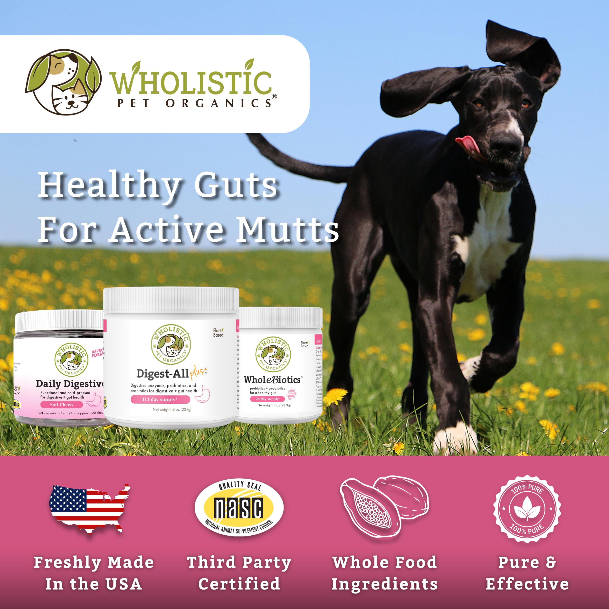 Wholistic Digest-All Plus Dog Probiotics & Digestive Enzymes - 4 Oz - Cat Probiotics for Digestive Health - Dog Supplement Powder for Homemade Food