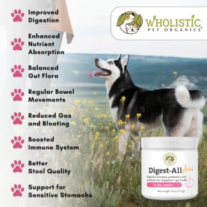 Wholistic Digest-All Plus Dog Probiotics & Digestive Enzymes - 4 Oz - Cat Probiotics for Digestive Health - Dog Supplement Powder for Homemade Food