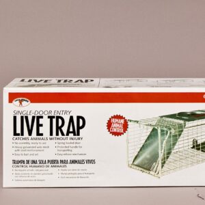 Little Giant® Single Door Live Trap | Racoon Trap | Live Animal Trap | Catches Without Injury | Galvanized Steel Mesh | 18.75 x 6.75 x 6.5 in